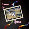 Furever in Our Hearts