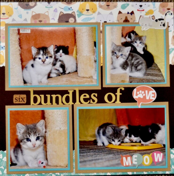 6 Bundles of Love