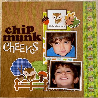 Chipmunk Cheeks
