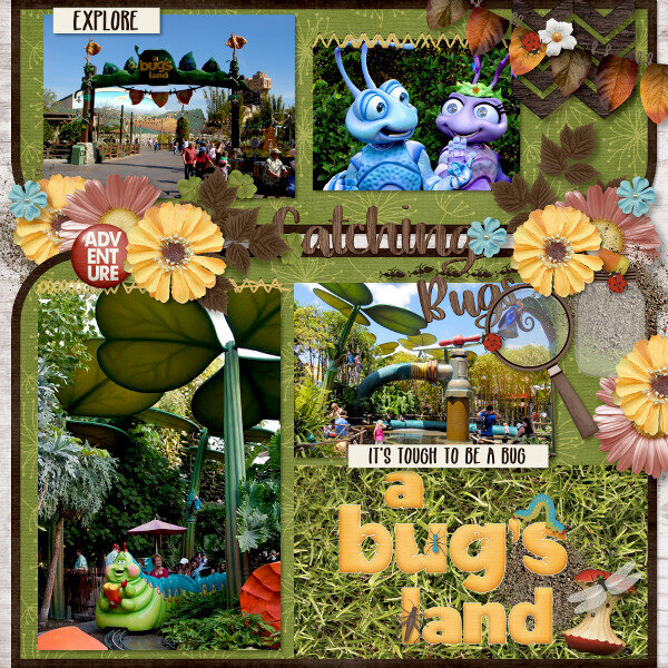 Catching Bugs: A Bug&#039;s Land