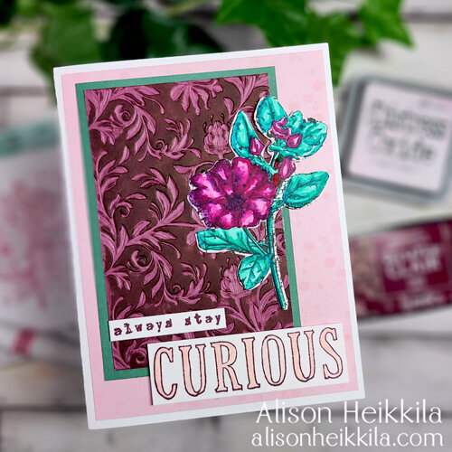 Always Stay Curious