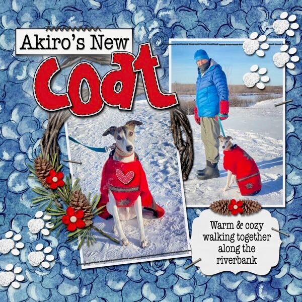 Akiro&#039;s New Coat