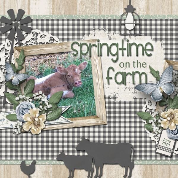 Springtime on the Farm