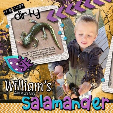 William's Salamander