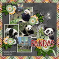 I Love Pandas