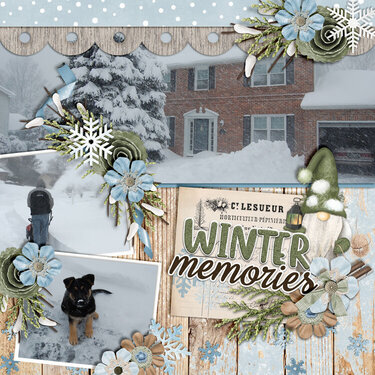 Winter Memories