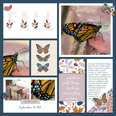 Monarch Butterfly Pocket Page