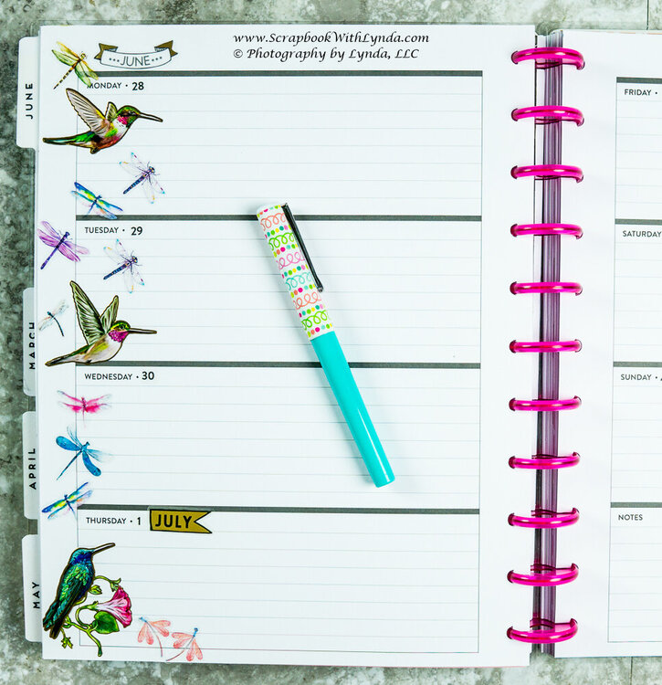 Dragonfly Hummingbird Planner Before the Pen Spread