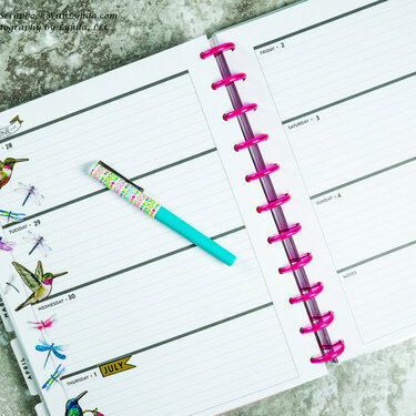 Dragonfly Hummingbird Planner Before the Pen Spread