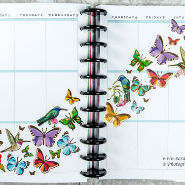 Butteryfly and Hummingbird Before the Pen Planner Spread