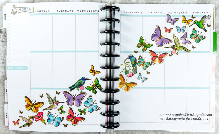 Butteryfly and Hummingbird Before the Pen Planner Spread