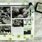 Scrapbook Layout Background Using Distress Stain and Ink