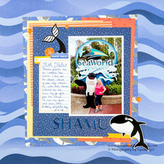 Shamu at Sea World