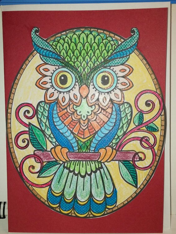 colored pencil owl
