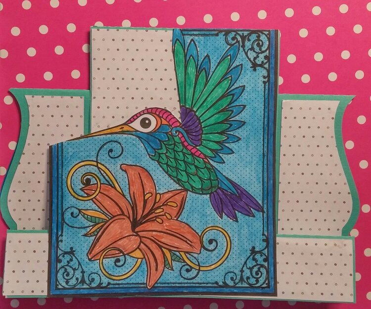 card hummingbird