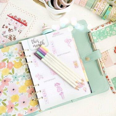 Carpe diem planner