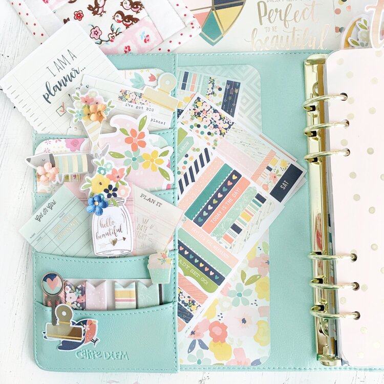 Carpediem Posh Robins Egg planner