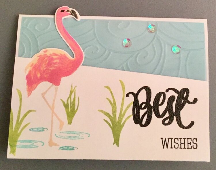 Flamingo Best Wishes