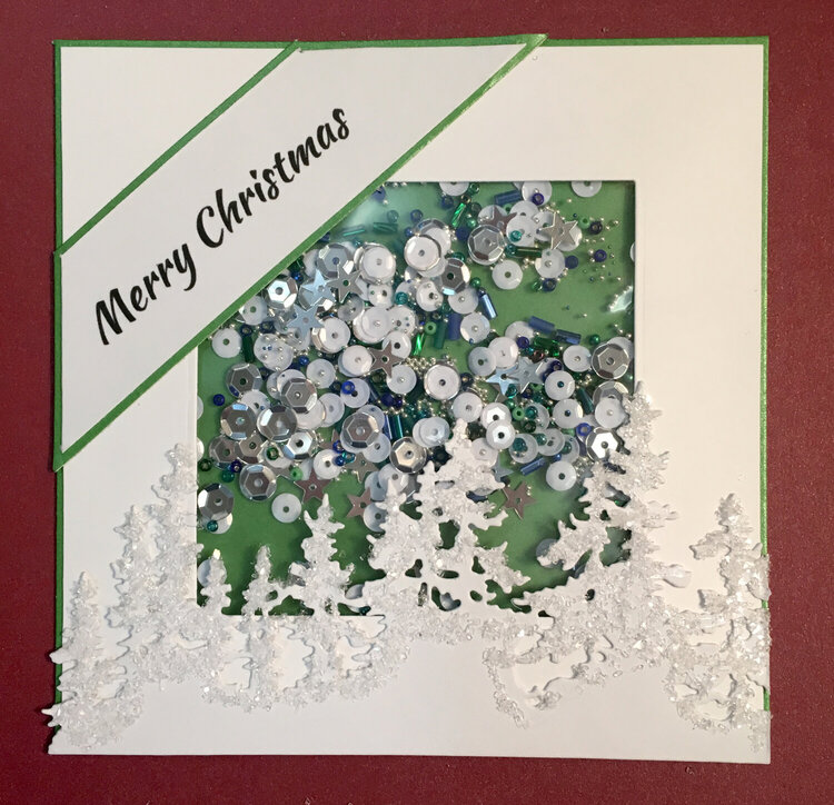 Merry Christmas Shaker Card
