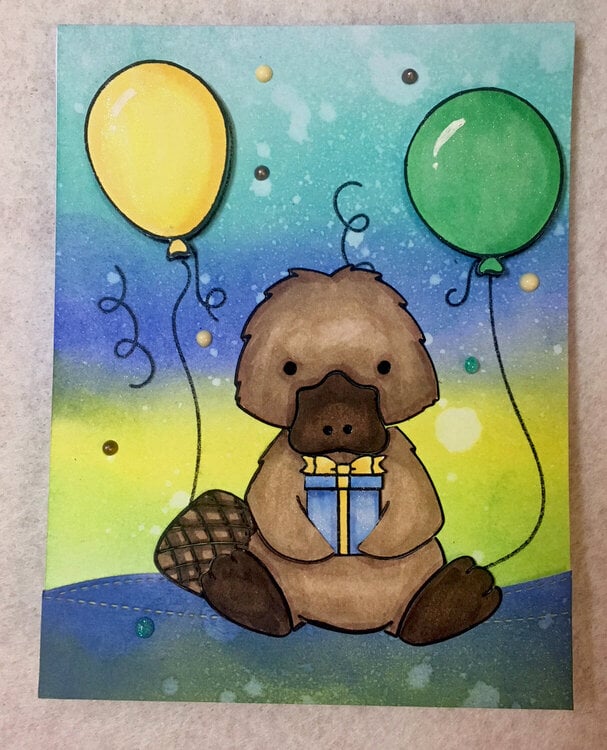 Platypus Birthday card