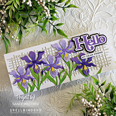 Layered Iris Die Cut slimline Card