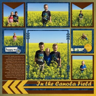 In the Canola Field