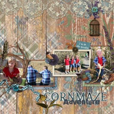 Cornmaze Adventure