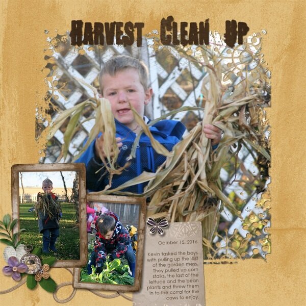 Harvest Clean Up