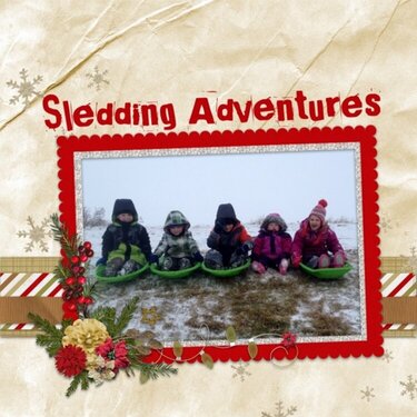 Sledding Adventures