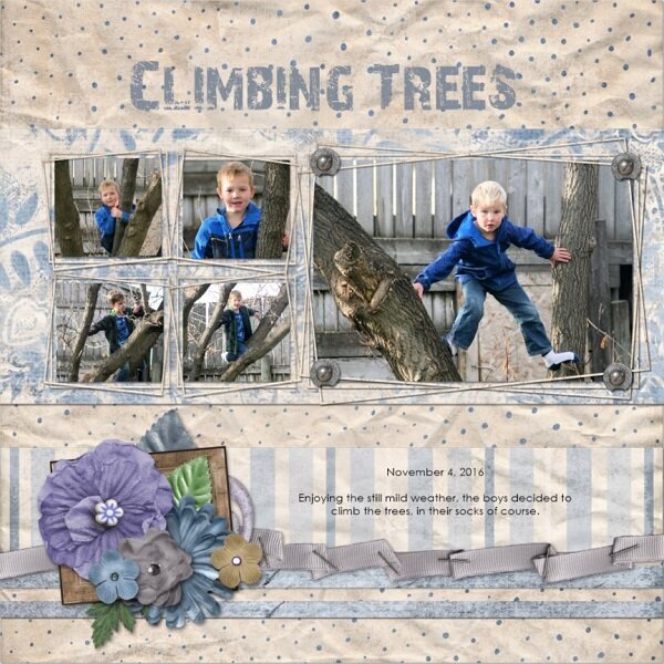 Climbing Trees