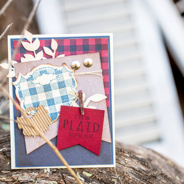I&#039;m so Plaid You&#039;re Here featuring Lumberjack Days by Richard Garay