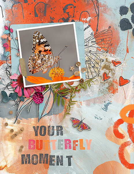 Your Butterfly Moment