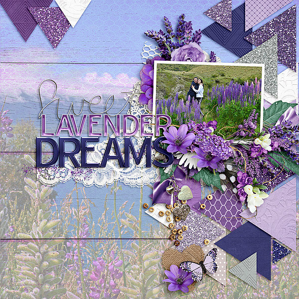 Sweet Lavender Dreams