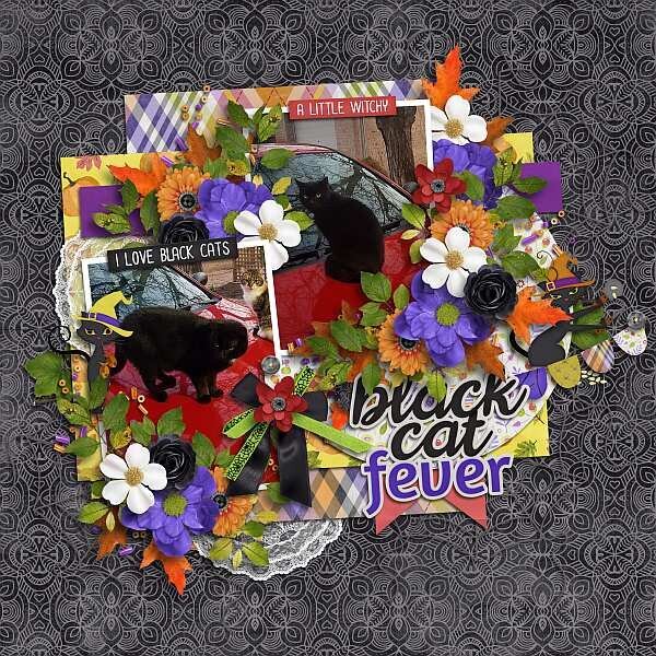 Black cat fever