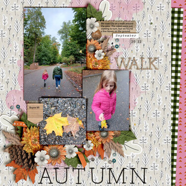 Autumn Walk