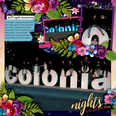 Colonia Group at Night