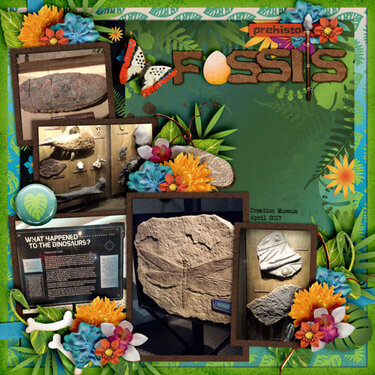 Fossils