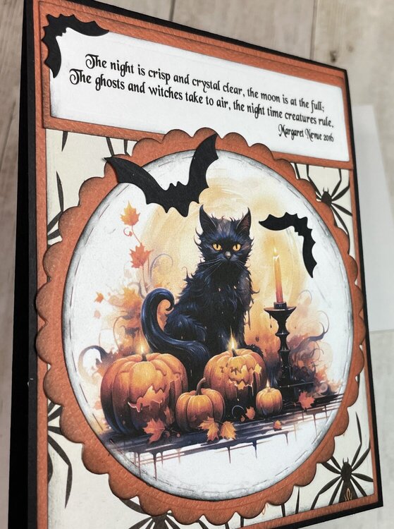 Watercolor Series #4 Halloween Cats