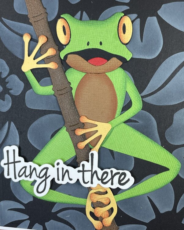 Tree Frog Encouragement