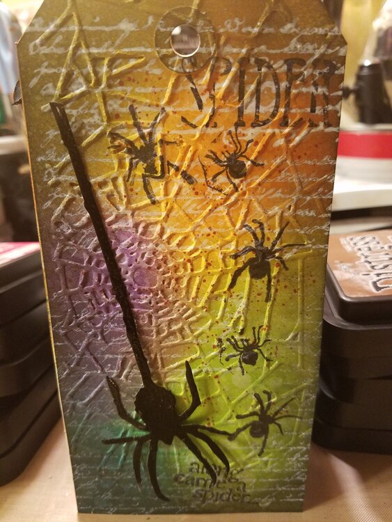 Halloween Tag Along Came a Spider