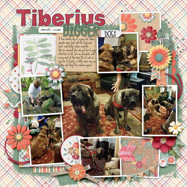 Tiberius and his family