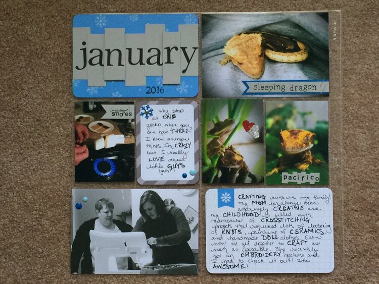 January Project Life A