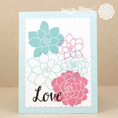 Pastel Succulents Card