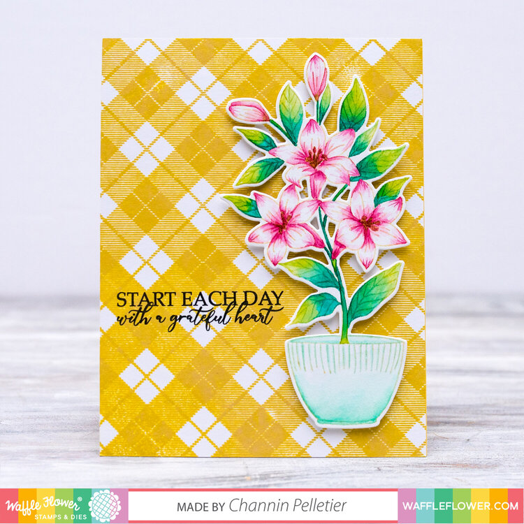 Plaid Potted Lily Card
