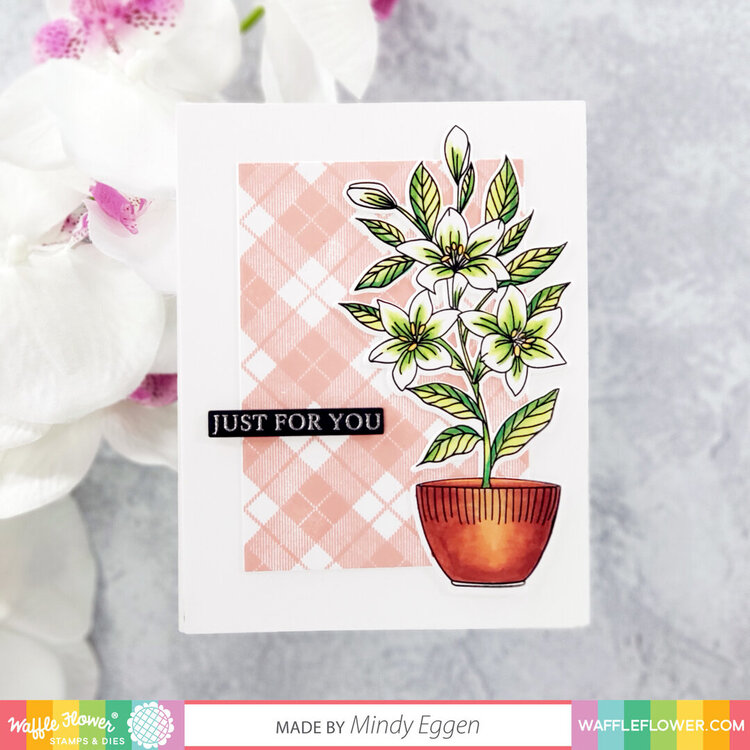 Plaid Lily card