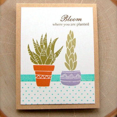 Boom Where You Are Planted Card