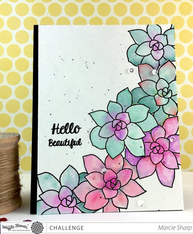 Hello Beautiful Succulents Card