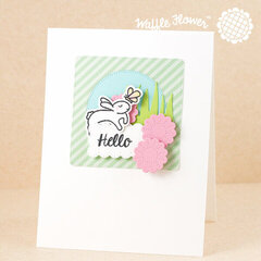 Hello Rabbit Card