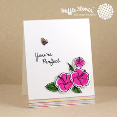 You're Perfect Hibiscus Card