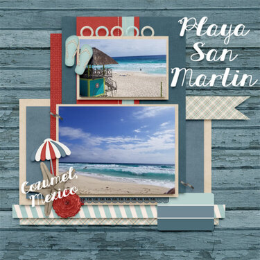 Playa San Martin